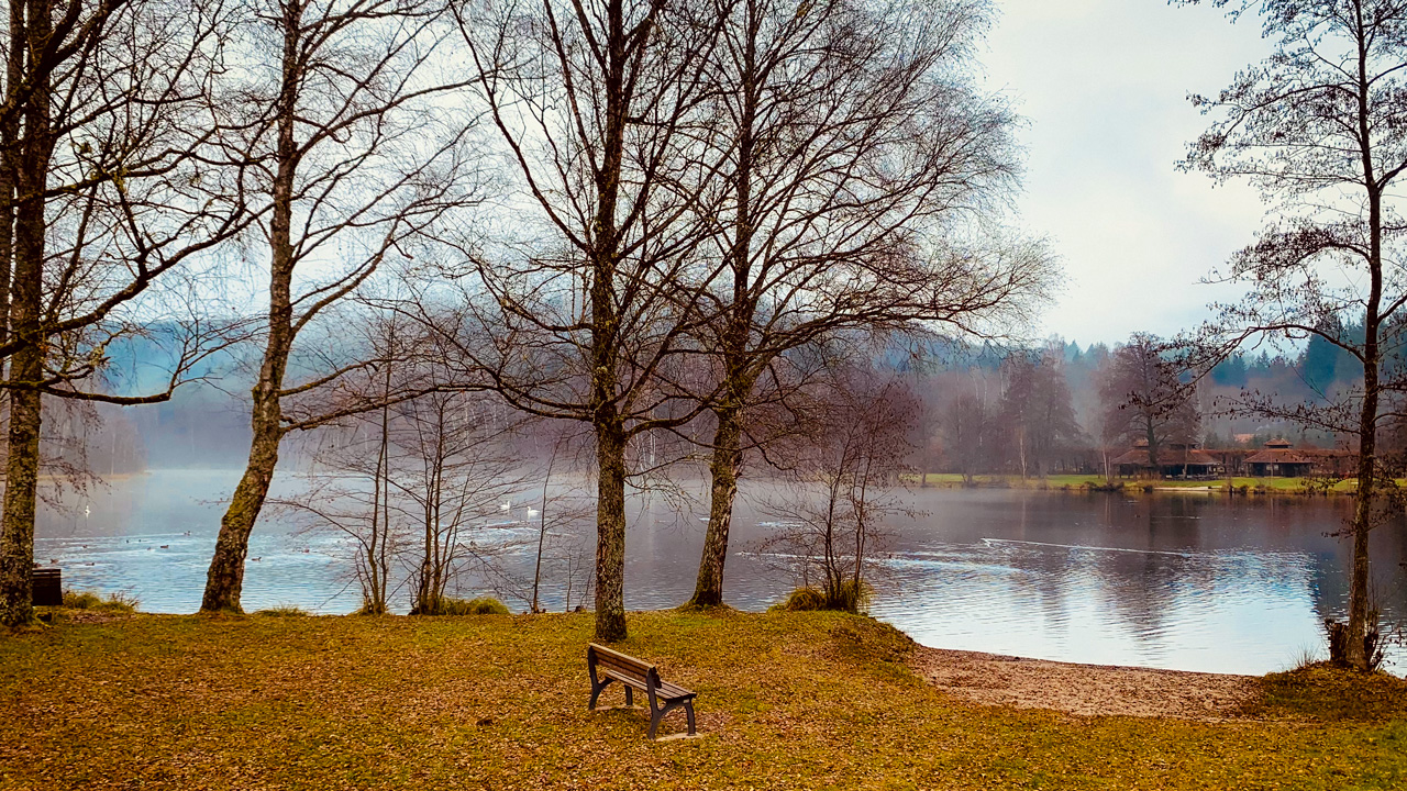 Lake