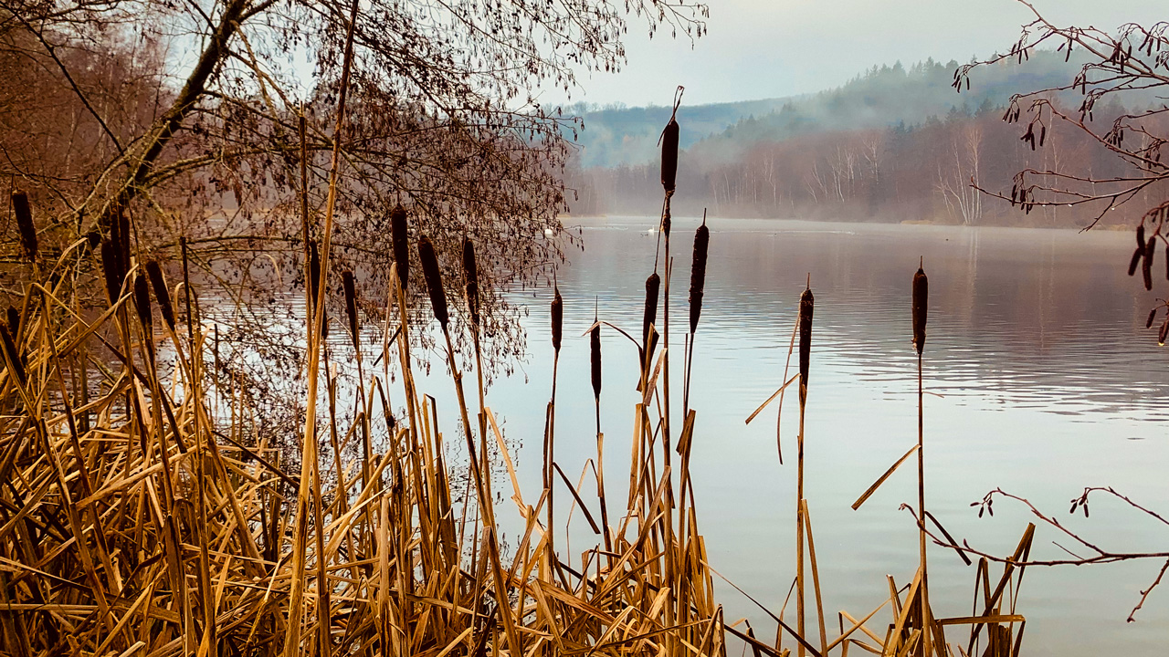 herbstliche Seeidylle